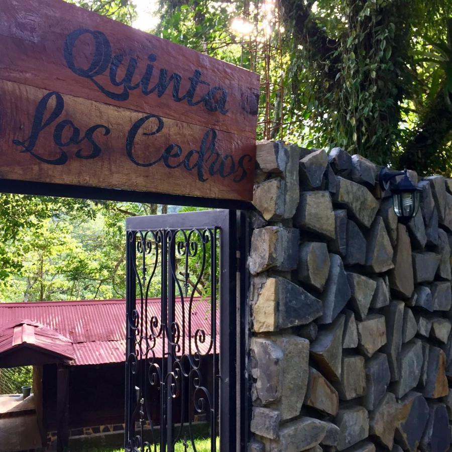 Finca Quinta Los Cedros Xilitla Buitenkant foto